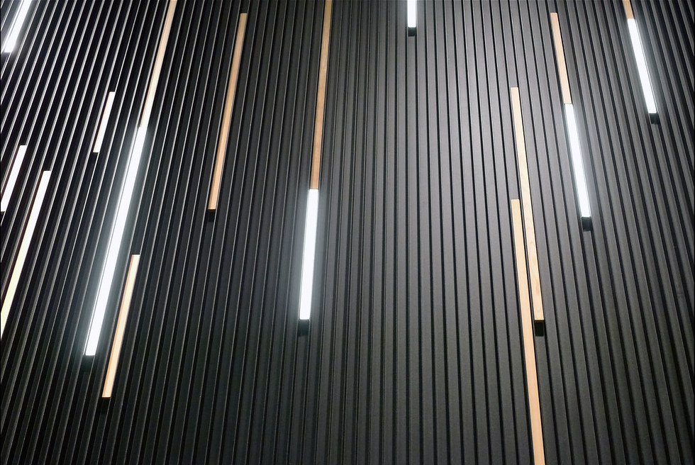 Renson Linarte with LED